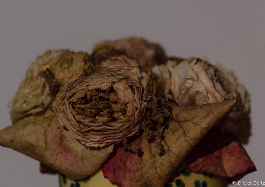 7/11 - Moon Flowers